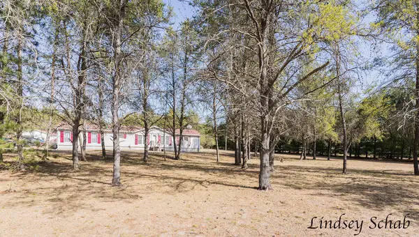 2211 E 13 Mile Road, Bitely, MI 49309