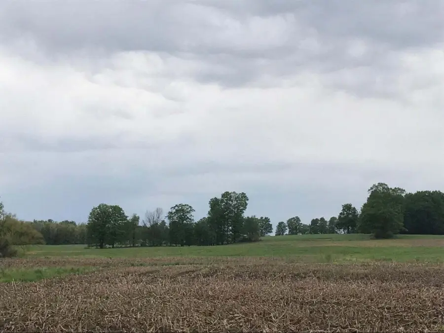 00 W Polk Road, Hart, MI 49420 - #2
