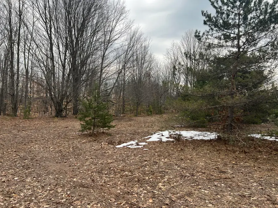 Quarter Line Rd, Manistee, MI 49660 - #2