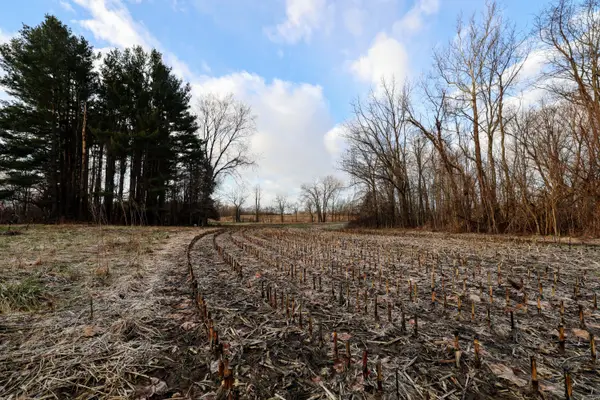 VL W Glendora Road, Buchanan, MI 49107