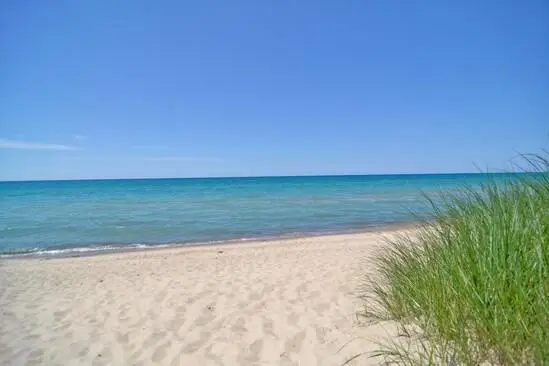 9949 Townline Road, Union Pier, MI 49129 - #2