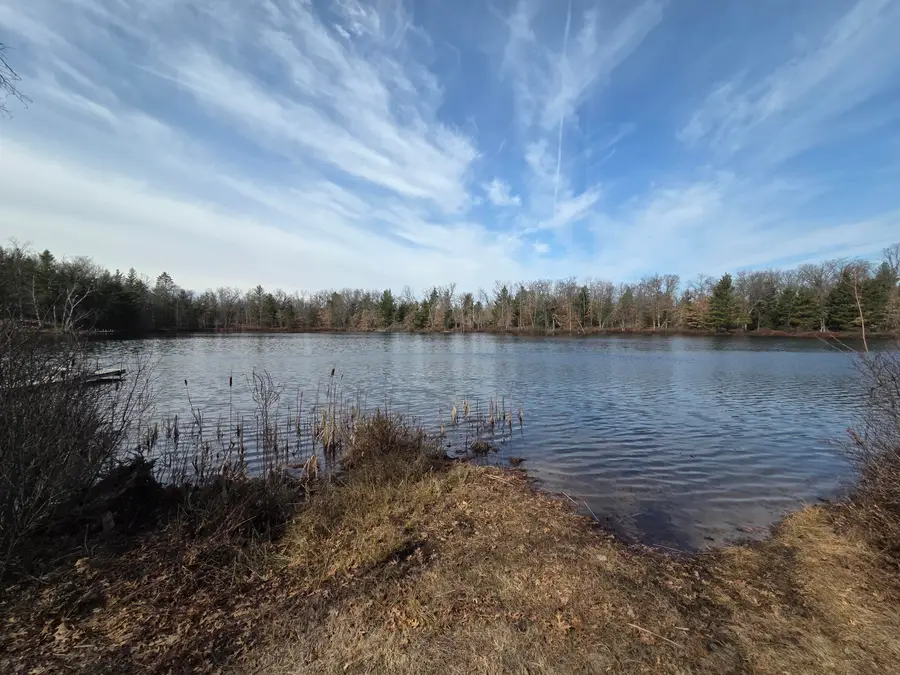 8517 S Owen Avenue, Baldwin, MI 49304 - #3