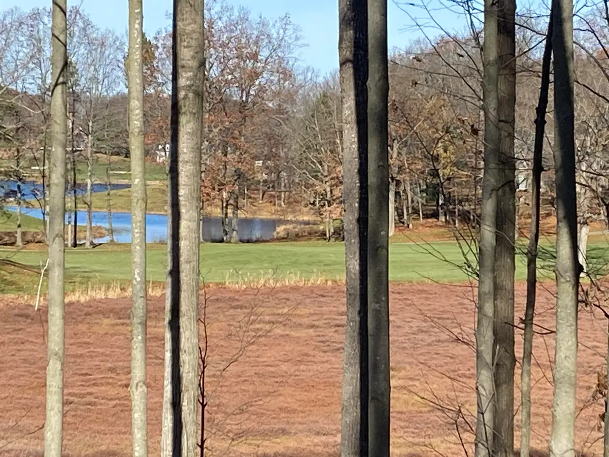 8975 Whispering Lane #234-235, Canadian Lakes, MI 49346 - #1