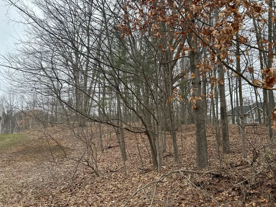 10910 Boxwood Drive #247, Canadian Lakes, MI 49346 - #3