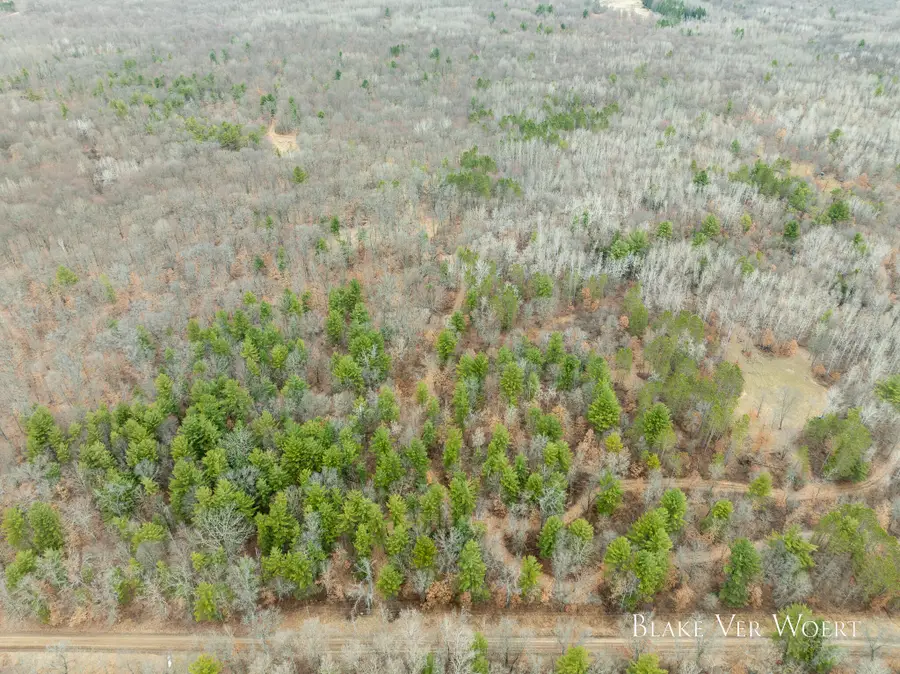 V/L 20.49A E 15 Mile Road, Bitely, MI 49309 - #2