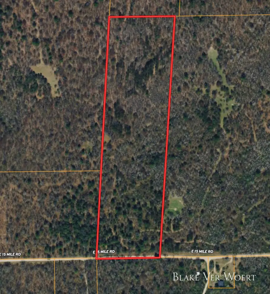 V/L 20.49A E 15 Mile Road, Bitely, MI 49309 - #3