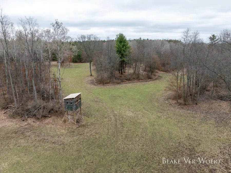 V/L 21A E 15 Mile Road, Bitely, MI 49309 - #2