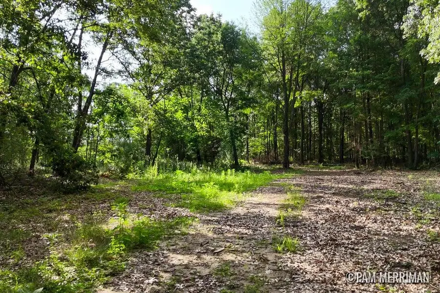 Parcel F Willard Road, Trufant, MI 49347 - #3