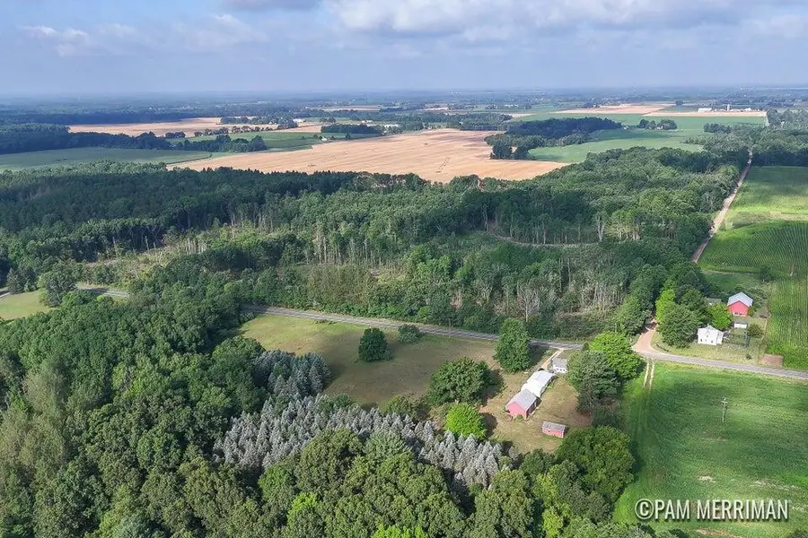 Parcel C Youngman Road, Trufant, MI 49347 - #2