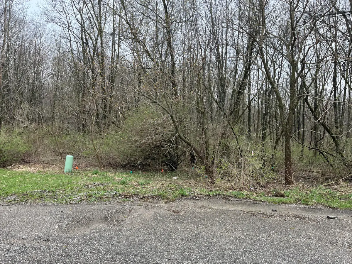 11 Forest Shores Drive, Cassopolis, MI 49031 - #1