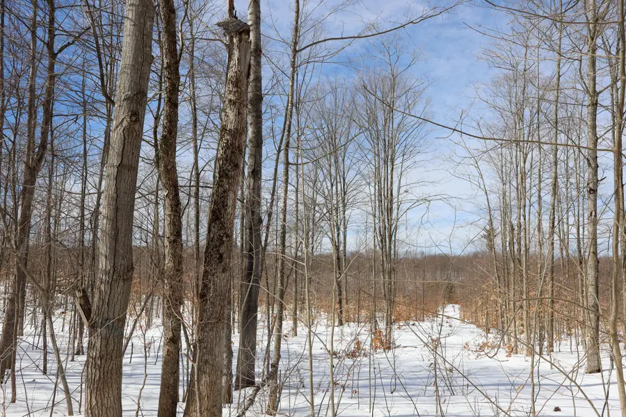 Walker Road Nw, Rapid City, MI 49676 - #2