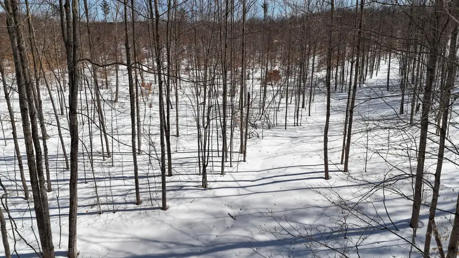 Walker Road Nw, Rapid City, MI 49676 - #3