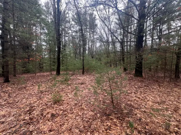 S Atwater, White Cloud, MI 49349