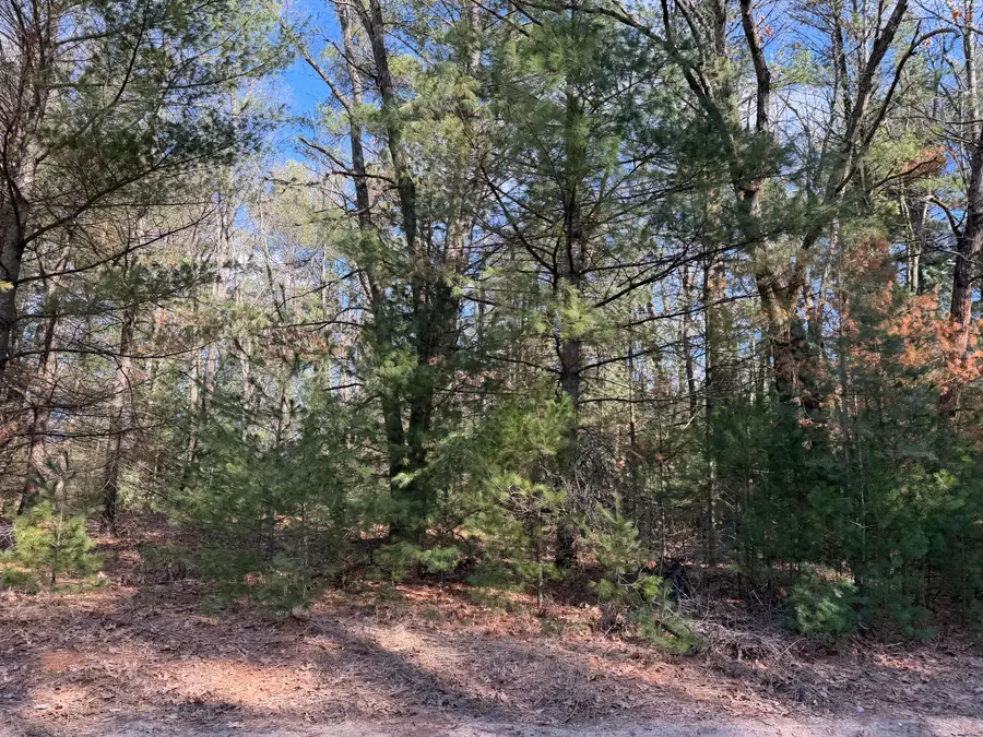 S Atwater, White Cloud, MI 49349 - #2