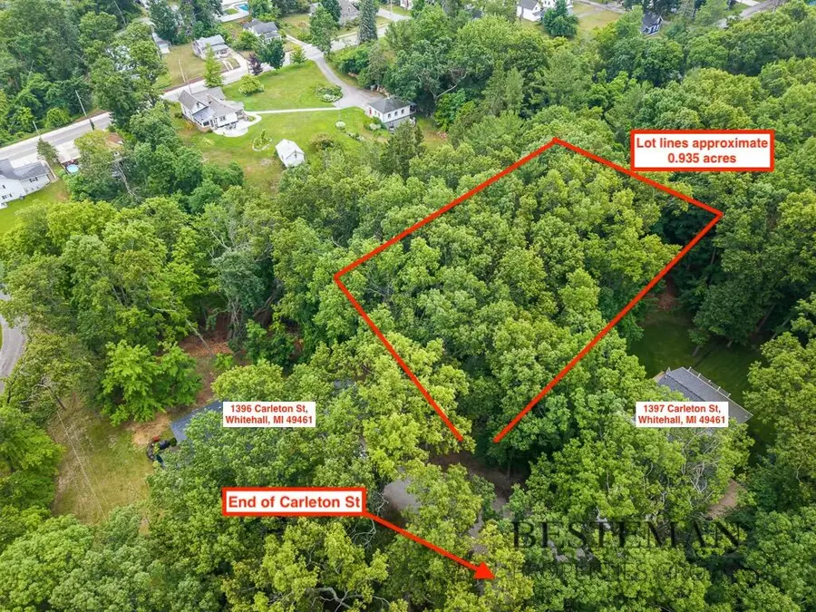 V/L Carleton Street, Whitehall, MI 49461 - #2