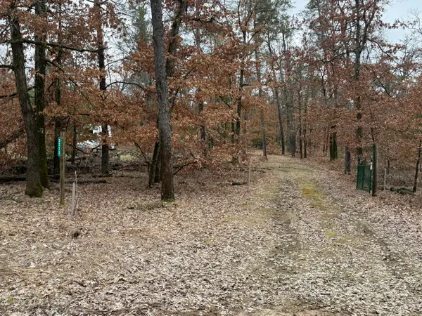 3225 W 1 1/2 Mile Road, Baldwin, MI 49304