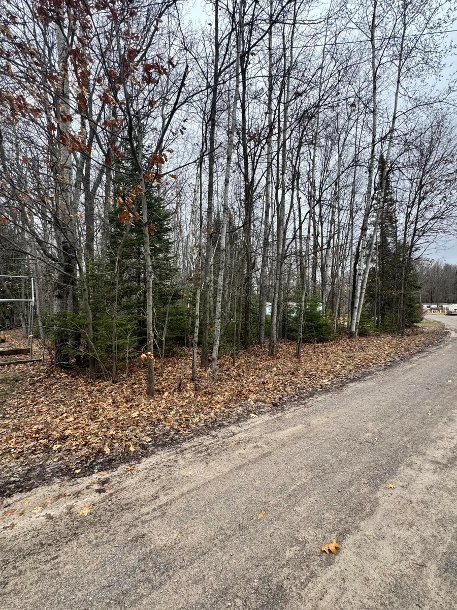 Ashcroft, Lake, MI 48632 - #2