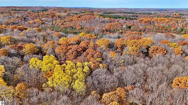 0 Old Us Hwy 131, Manton, MI 49663 - #3