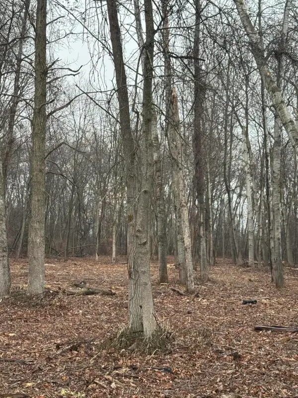 S Main Street, Au Gres, MI 48703