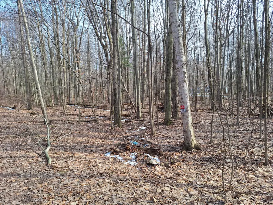 V/L Birch Street #LOT 10, 11, 12 BL 13, Ludington, MI 49431 - #2