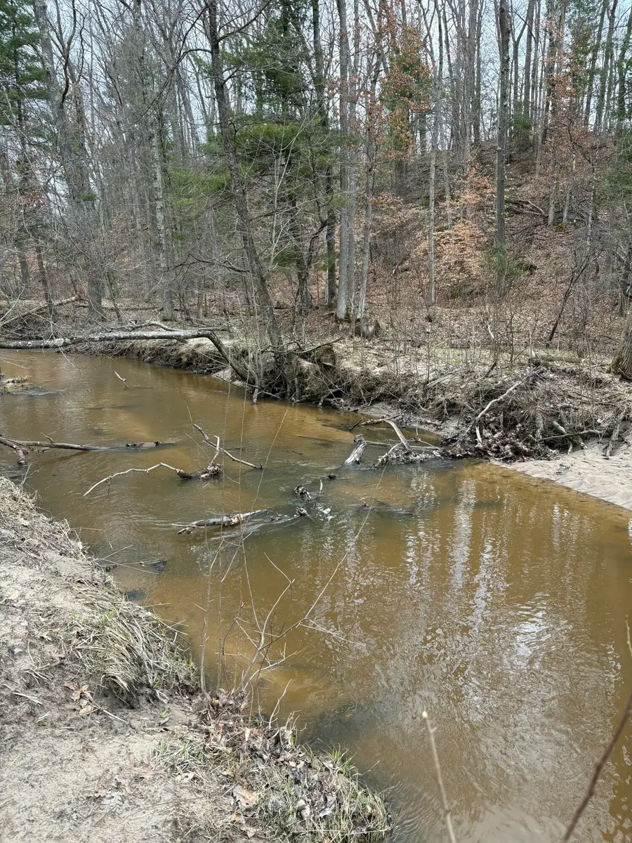 0 Linderman Road, Holton, MI 49425 - #2