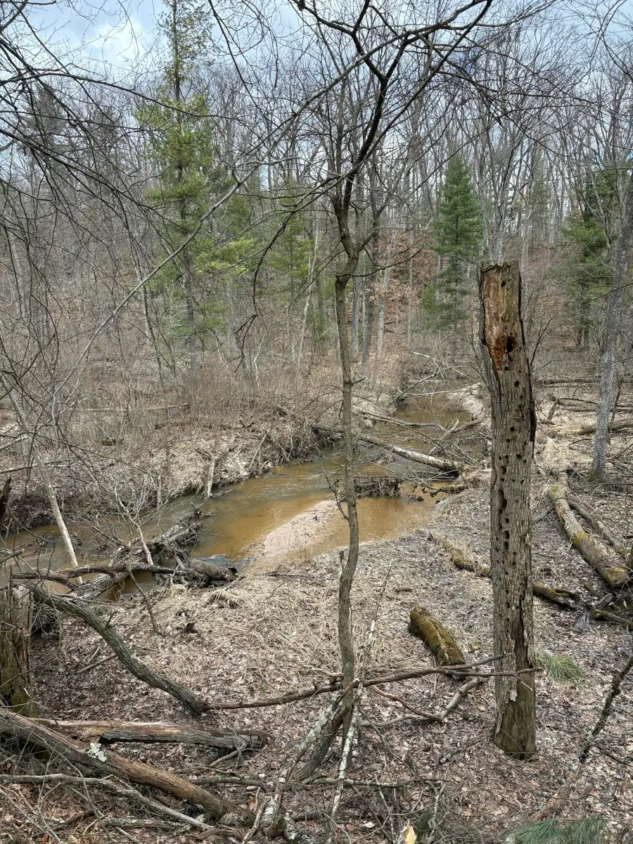 0 Linderman Road, Holton, MI 49425 - #3