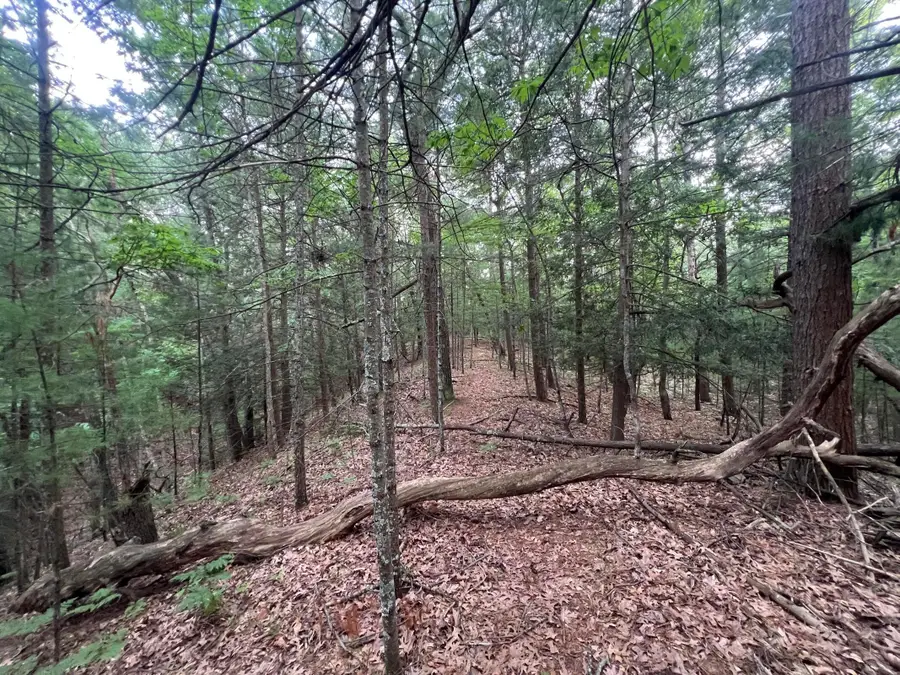 V/L a Lenox Ave, Pentwater, MI 49449 - #3