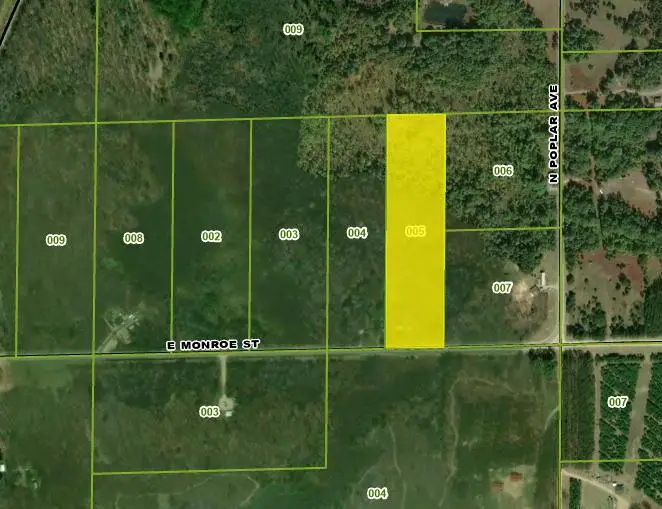 3069 E Monroe Street, White Cloud, MI 49349 - #2