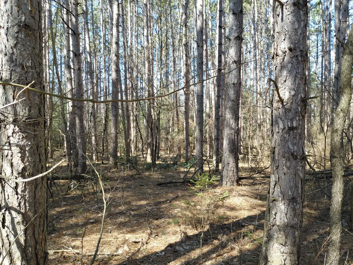 V/L E Pine Hill Avenue, White Cloud, MI 49349 - #1