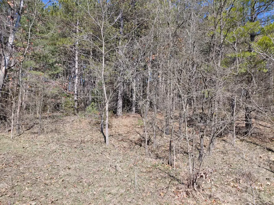 V/L E Pine Hill Avenue, White Cloud, MI 49349 - #2