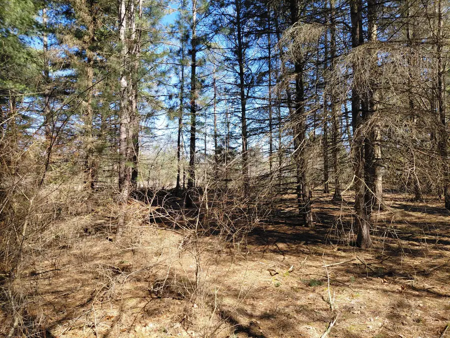 V/L E Pine Hill Avenue, White Cloud, MI 49349 - #3