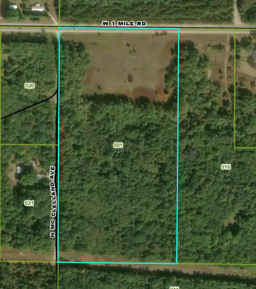 1950 W 1 Mile Road, White Cloud, MI 49349 - #2