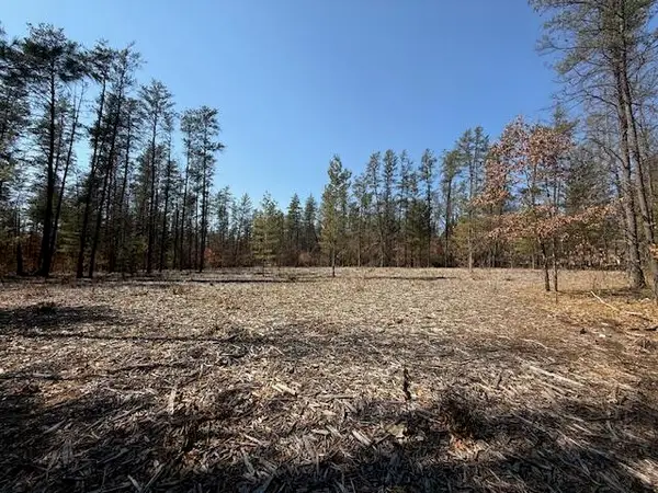 5209 S Nelson Road, Idlewild, MI 49642