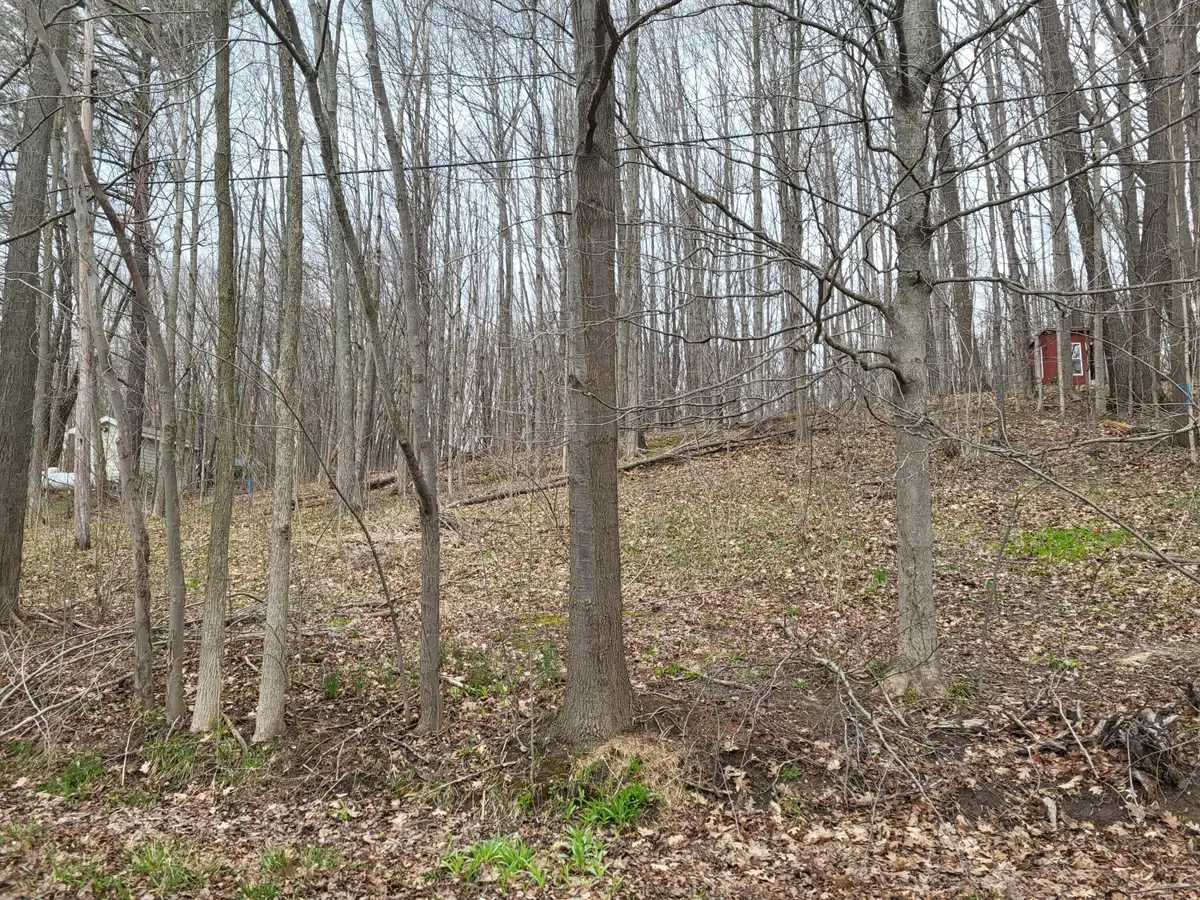 V/L 45 E Peterson Drive, Gobles, MI 49055 - #1