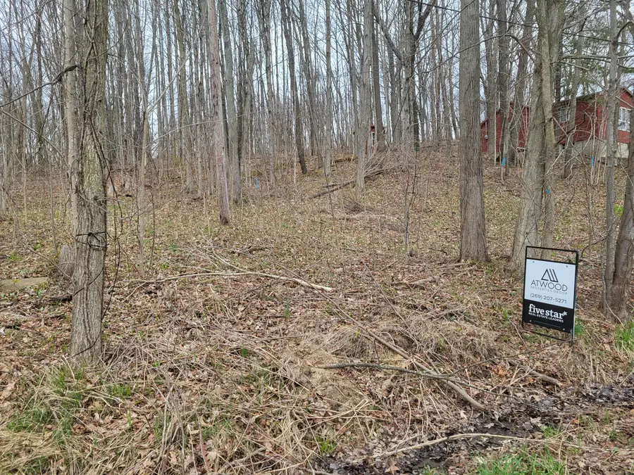 V/L 45 E Peterson Drive, Gobles, MI 49055 - #2