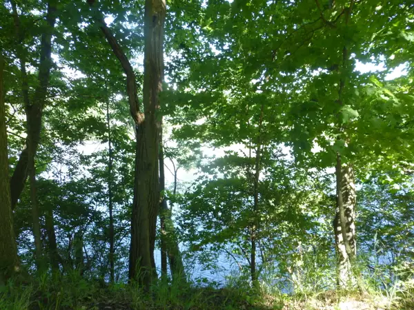 509 N State Street, Niles, MI 49120