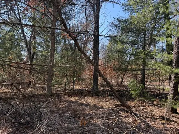 VL Erie Street, Baldwin, MI 49304