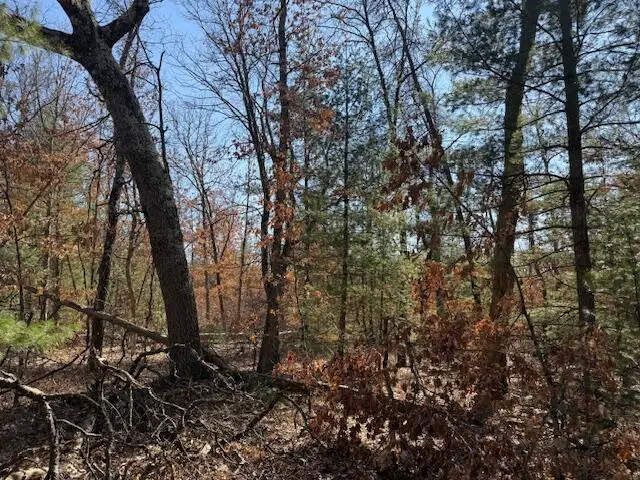 VL Erie Street, Baldwin, MI 49304 - #3