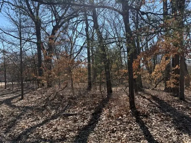 VL S Arrowhead Trail, Baldwin, MI 49304 - #2