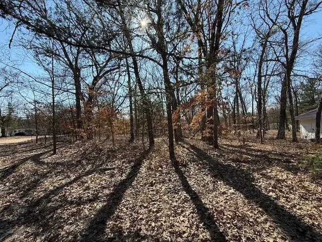 VL S Arrowhead Trail, Baldwin, MI 49304 - #3