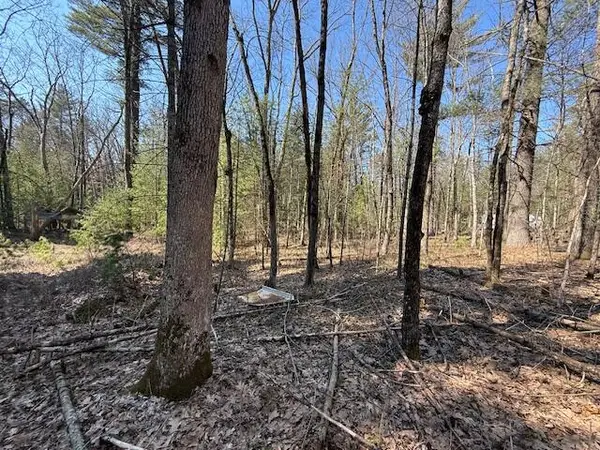 VL S Pershing Road, Baldwin, MI 49304