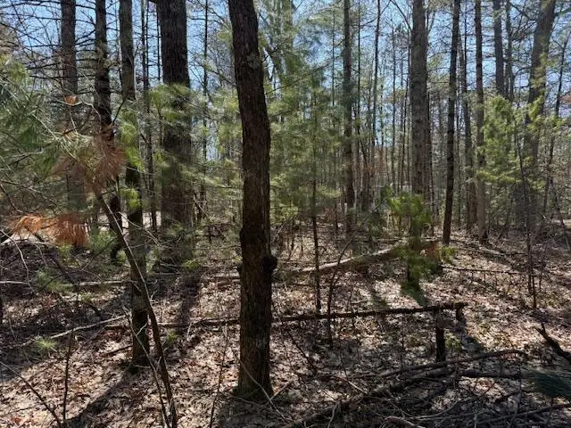 VL Lots 7-11 Pershing Road, Baldwin, MI 49304 - #2