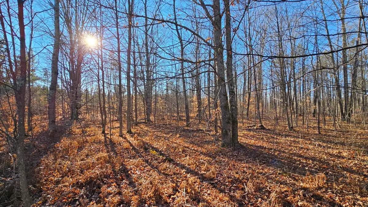 1621 Baker Road Ne, Kalkaska, MI 49646 - #1