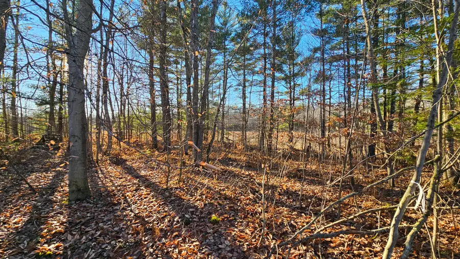 1621 Baker Road Ne, Kalkaska, MI 49646 - #3