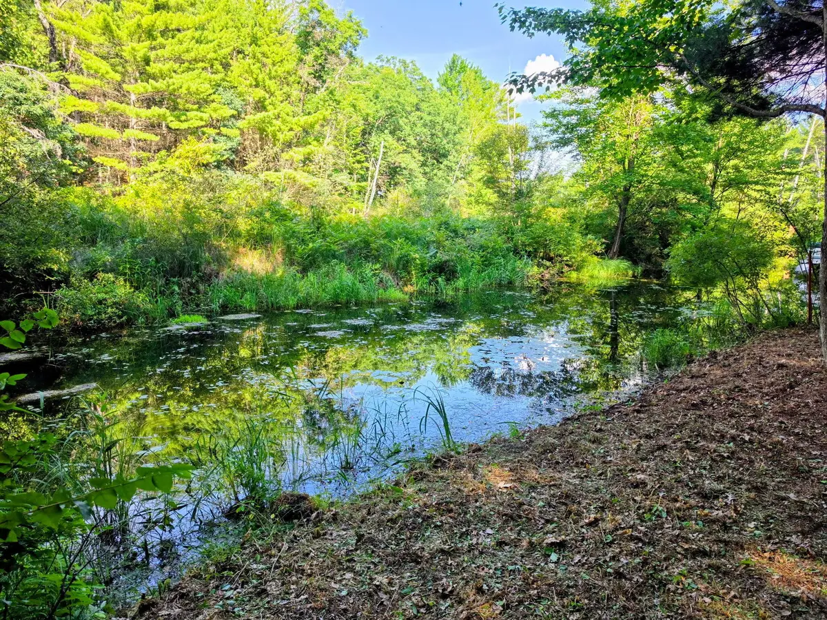 00 W Wilmas Way, Baldwin, MI 49304 - #1