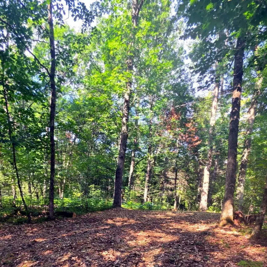00 W Wilmas Way, Baldwin, MI 49304 - #3