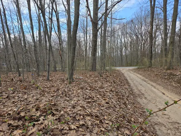 VL 8th Avenue, Grand Junction, MI 49056