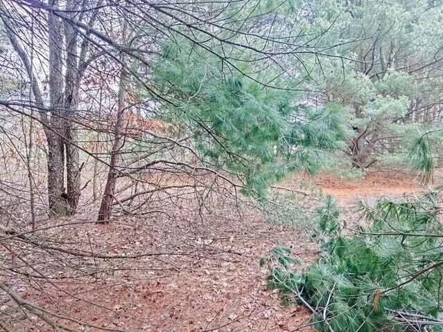 V/L Frost Street, Muskegon, MI 49442 - #2