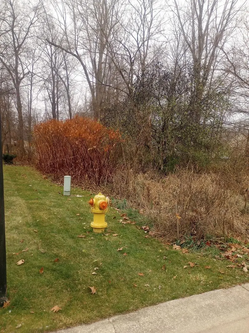 4093 Libbie Drive, Clio, MI 48420 - #2