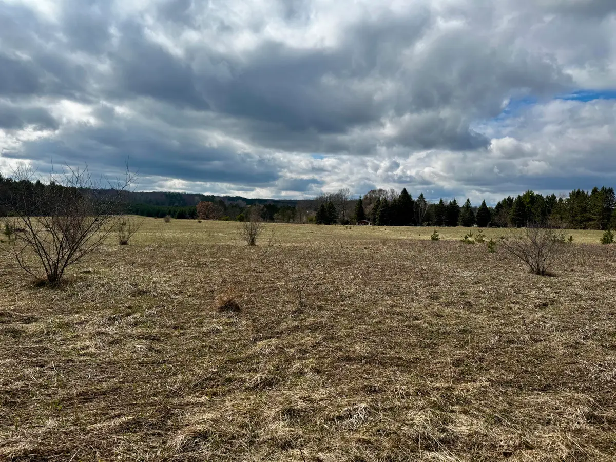 v/l 2 acre S Saddler Road, Chase, MI 49623 - #1